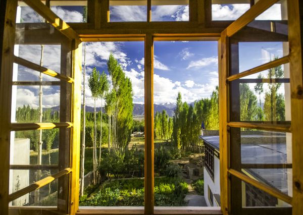 Wood Window Replacement in Chico