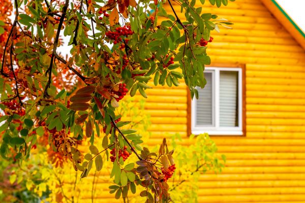 Cost of Garden Window Replacement in Chico